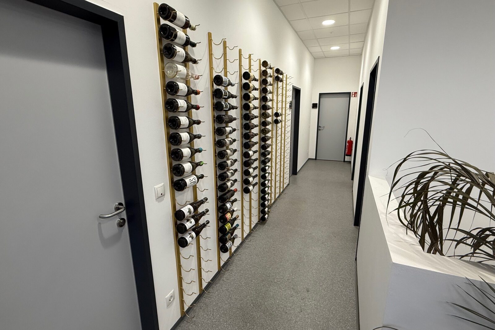 Modernes Büro mit Wohlfühlcharakter – 150 m² in Wildon – Bild 6